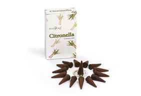 Mirisni Čunjići - Citronela