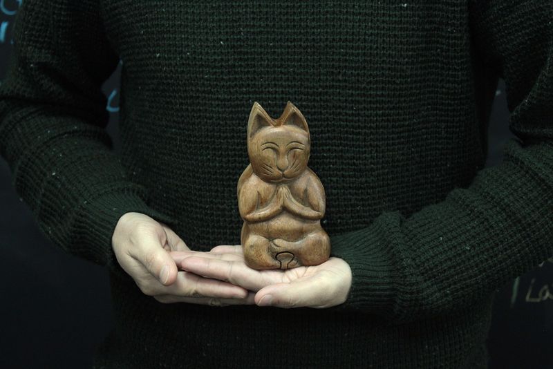 Bali Magična Kutija - Yoga Mačka