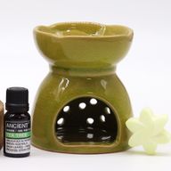 Aroma Lampa Drvo Života - Limeta
