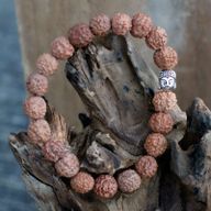 Rudraksha Buddha Mala Narukvica - Smeđa