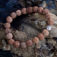 Rudraksha Buddha Mala Narukvica - Prirodna