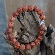 Rudraksha Buddha Mala Narukvica - Prirodna