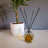 Crni Difuzor Štapići -25cm x 3mm