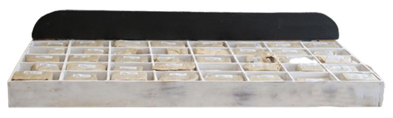 Rustikalna Slova & Brojevi od Kore Drveta - Izložbena Kutija i Starter (40x12)