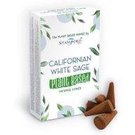 Biljni Mirisni Čunjići - Kalifornijska Bijela Kadulja