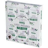 Povratni Biljni Mirisni Čunjići - Svježa Lavanda