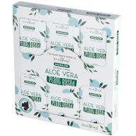 Povratni Biljni Mirisni Čunjići - Aloe Vera