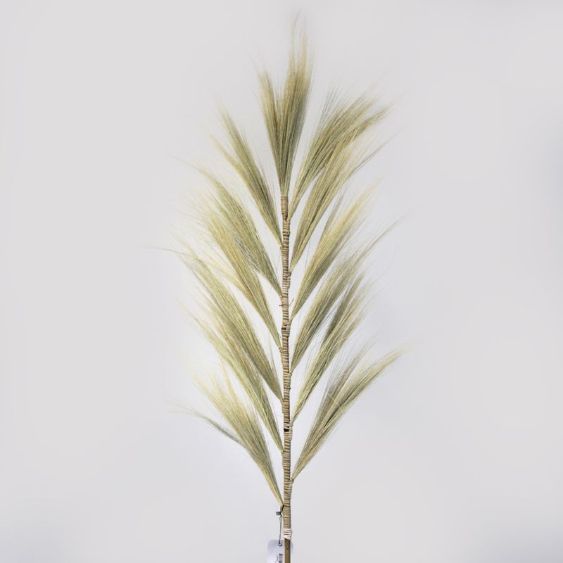 Rayung Trava - Krem 1.6m