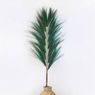Rayung Trava - Zelena 1.6m