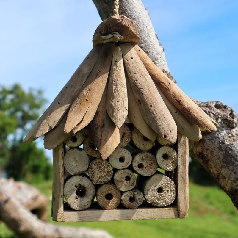 Kućica za Pčele i Insekte od Naplavljenog Drva