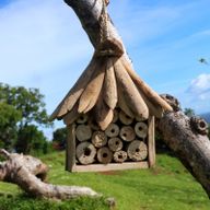 Kućica za Pčele i Insekte od Naplavljenog Drva