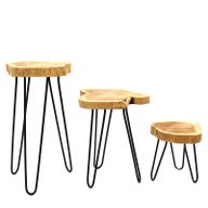 Set od 3 Drvena Stalka za Biljke Gamell- Prirodna