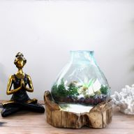 Molten Glass Large Fish Tank 3,7 litara (s komorom za osvjetljenje) - 30 cm (UK utikač)