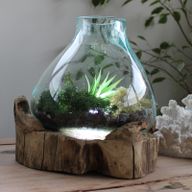 Molten Glass Large Fish Tank 3,7 litara (s komorom za osvjetljenje) - 30 cm (UK utikač)