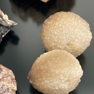 Uzorci Minerala - Mix (cca. 24 komada)