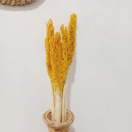 Buket Suhog Bilja - Jantar