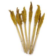 Buket Suhog Bilja - Jantar