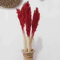 Buket Suhog Bilja - Crvena
