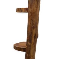Stalak od Prirodne Tikovine s 3 Police - 100cm