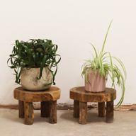 Srednji Stalak od Tikovine - 27x15cm