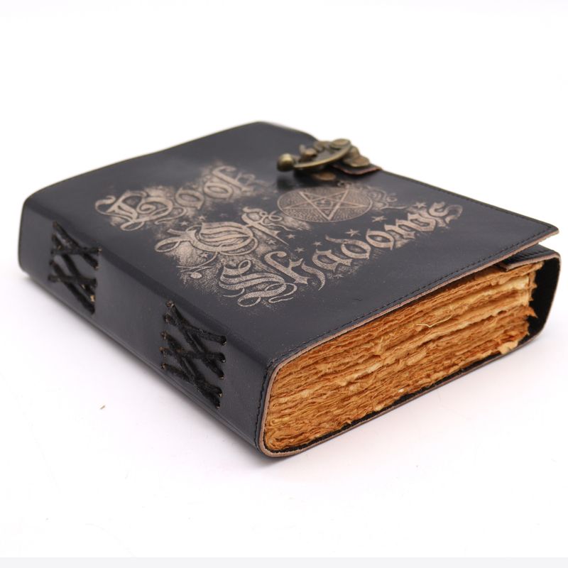 Knjiga Sjena - 200 strana, pohabani rubovi - 15x21cm