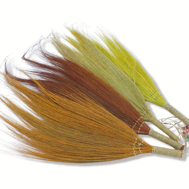 Set od 4 - Pampas Trava - Prirodne Boje
