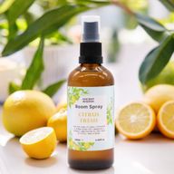 Home Fresh Sprej za Prostor - Svježi Citrus 100 ml