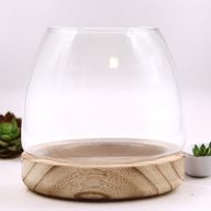 Srednji Terarij na Prirodnom Aleurit Drvu - 15x15 cm