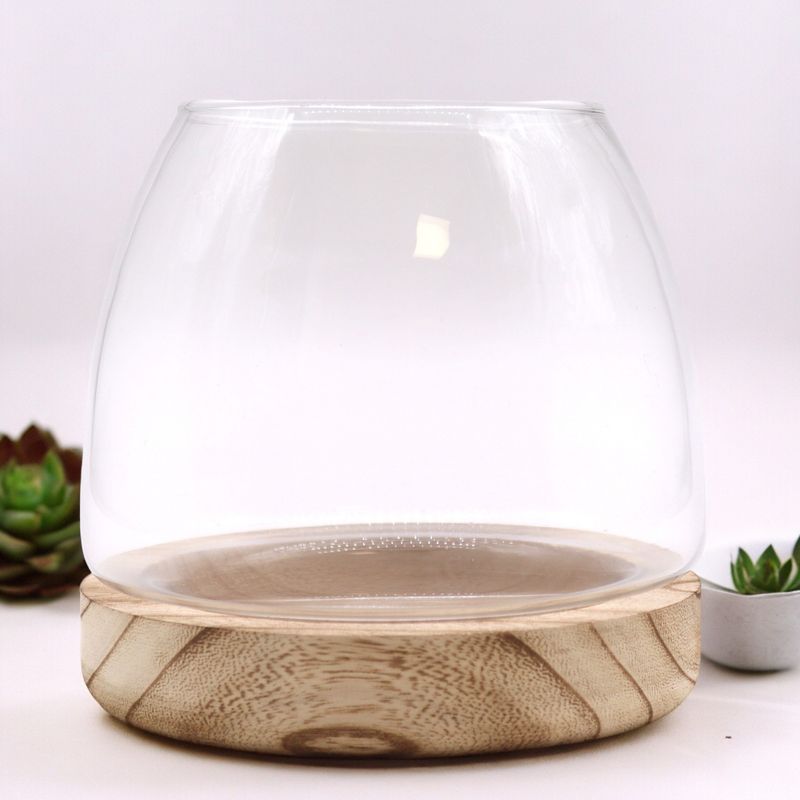 Srednji Terarij na Prirodnom Aleurit Drvu - 15x15 cm