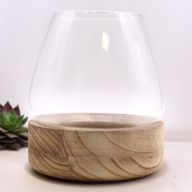 Veliki Terarij na Prirodnom Aleurit Drvu - 17x19 cm