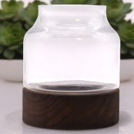 Srednji Terarij Oblikovan na Tamnom Aleurit Drvu - 16x18 cm