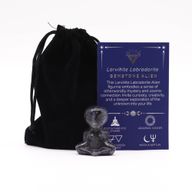 Vanzemanjac od Dragog Kamena - Larvikit Labradorit - 40x30x15mm