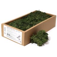 Kvalitetna Dekorativna Mahovina - Zelena Trava - 635g Kutija