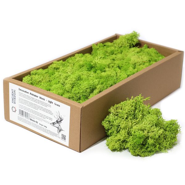 Kvalitetna Dekorativna Mahovina - Svijetla Trava - 635g Kutija