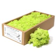 Kvalitetna Dekorativna Mahovina - Mint Zelena - 635g Kutija