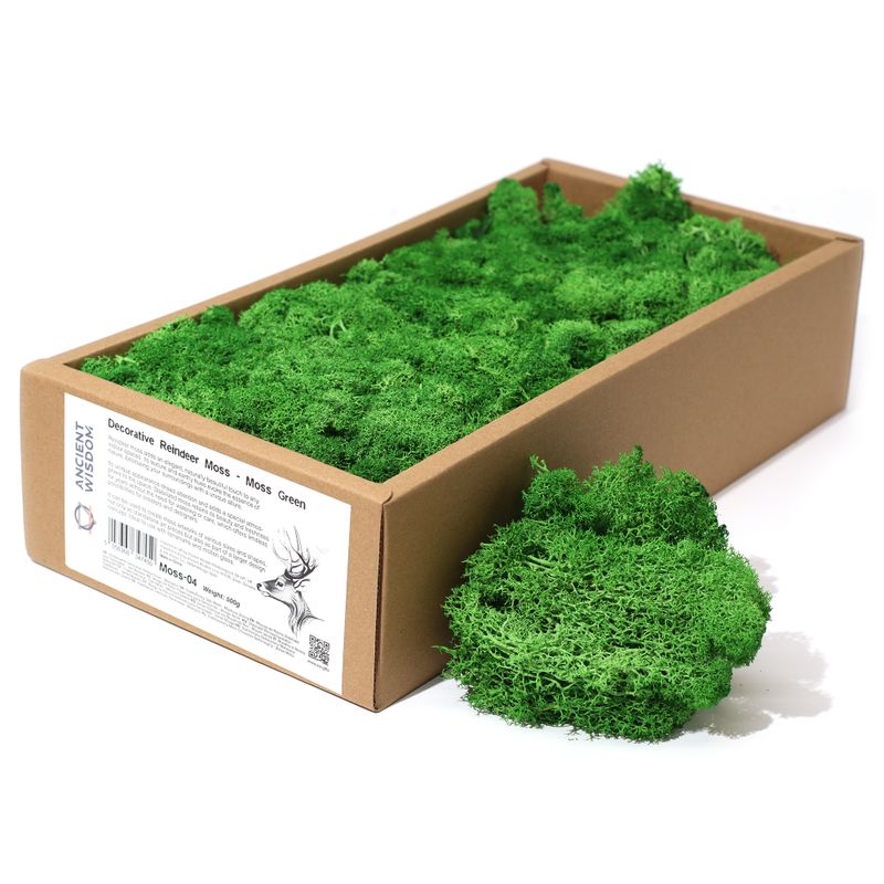 Kvalitetna Dekorativna Mahovina - Mahovinasta - 635g Kutija