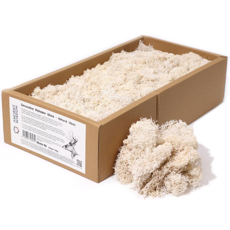 Kvalitetna Dekorativna Mahovina - Prirodna - 635g Kutija