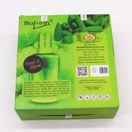 Biofresh Povratni Mirisni Čunjići (40 kom.) - Tamjan & Smirna