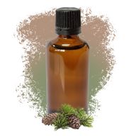Bor Sylvestris (Škotski Bor) 50ml - Bez Etikete