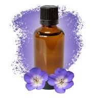 Geranij (Egipat) 50ml - Bez Etikete