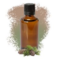 Bor Sylvestris (Škotski Bor) 50ml - Bez Etikete