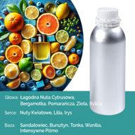 Cluedo Čisto Mirisno Ulje - 500ml