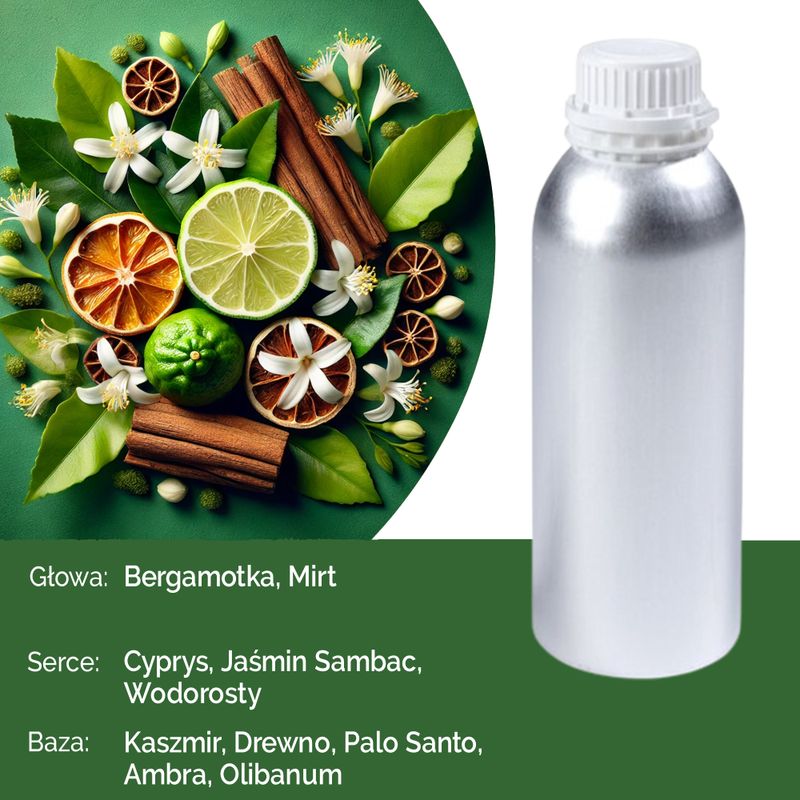 Aura Lady Čisto Mirisno Ulje - 500ml