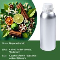 Aura Lady Čisto Mirisno Ulje - 500ml