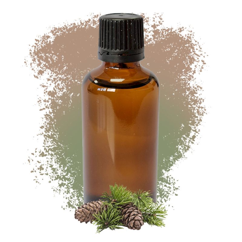 Bor Sylvestris (Škotski Bor) 50ml - Bez Etikete