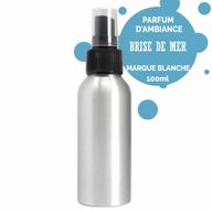 100ml Sprej za Prostor - Morski Povjetarac - Bez Etikete