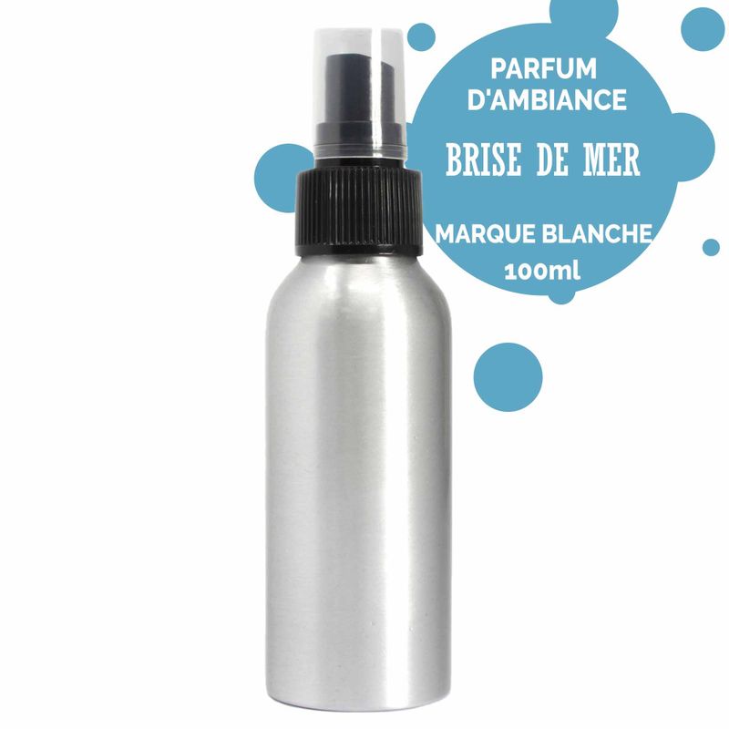 100ml Sprej za Prostor - Morski Povjetarac - Bez Etikete