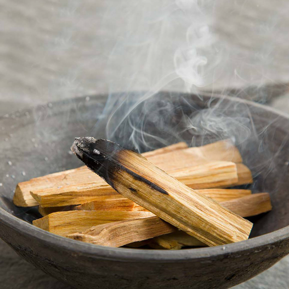 Zeleno Drvo Palo Santo