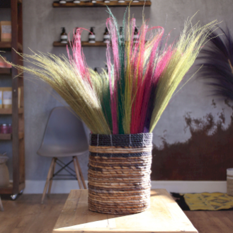 Prirodna Pampas Trava