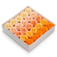 Cvijet od Sapuna za Rukotvorine - (5-slojna) Romantična Ruža - Postupni Prijelaz - Peach Blush